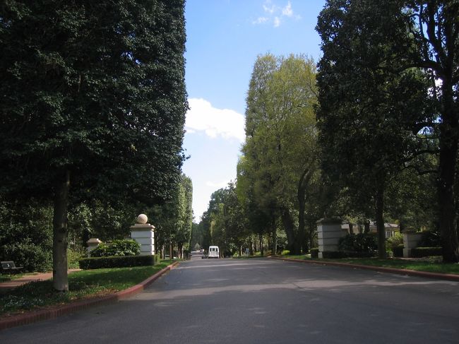 ホテル前からクラブハウスに続く並木道。