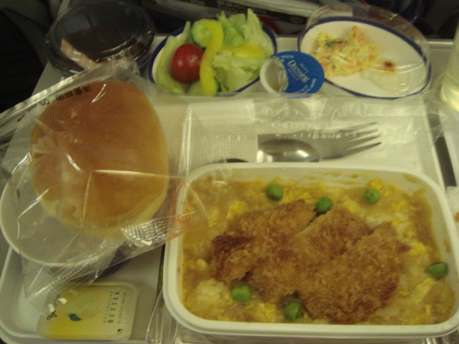 機内食。何だったか忘れた。