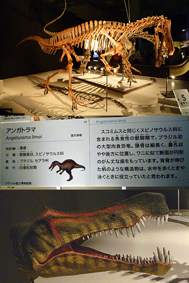 東京散歩 上野で大恐竜展 上野 御徒町 東京 の旅行記 ブログ By 茶柱たつこさん フォートラベル