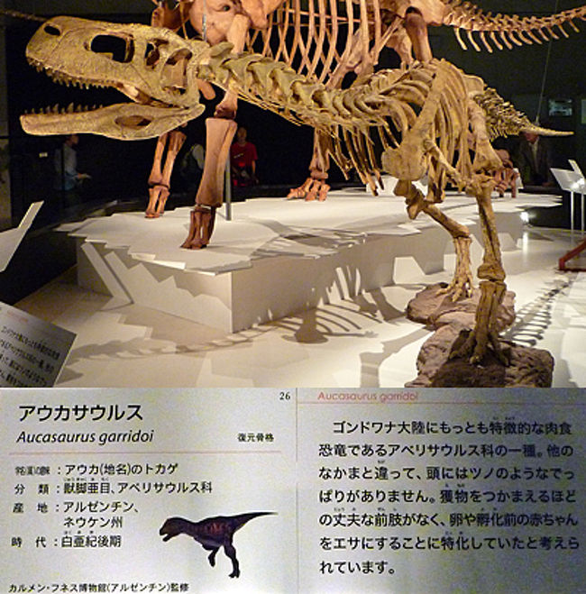 東京散歩 上野で大恐竜展 上野 御徒町 東京 の旅行記 ブログ By 茶柱たつこさん フォートラベル 東京散歩 上野で大恐竜展 上野 御徒町 東京 の旅行記 ブログ By 茶柱たつこさん フォートラベル