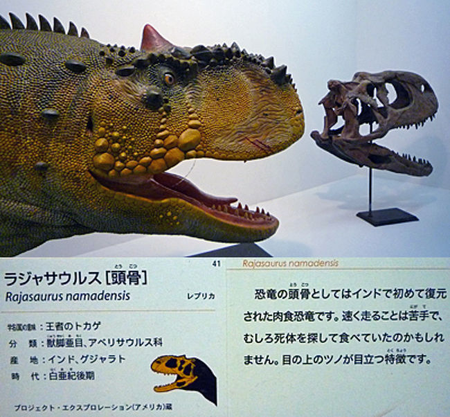 東京散歩 上野で大恐竜展 上野 御徒町 東京 の旅行記 ブログ By 茶柱たつこさん フォートラベル 東京散歩 上野で大恐竜展 上野 御徒町 東京 の旅行記 ブログ By 茶柱たつこさん フォートラベル