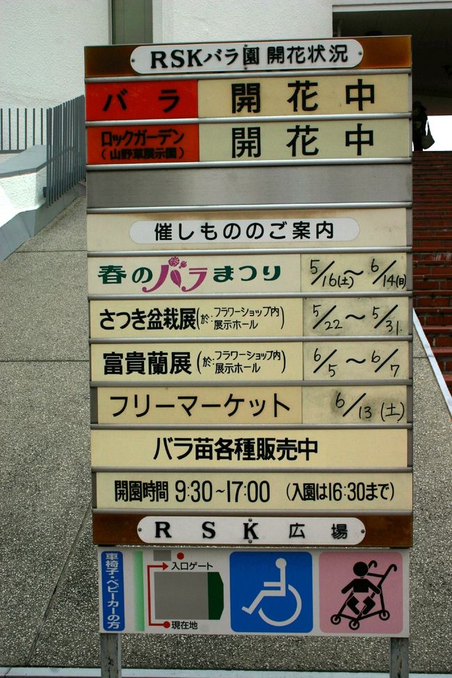 咲き誇る薔薇の花 安らぎのバラ園 Rskバラ園 岡山市 岡山県 の旅行記 ブログ By たらよろさん フォートラベル 咲き誇る薔薇の花 安らぎのバラ園 Rskバラ園 岡山市 岡山県 の旅行記 ブログ By たらよろさん フォートラベル
