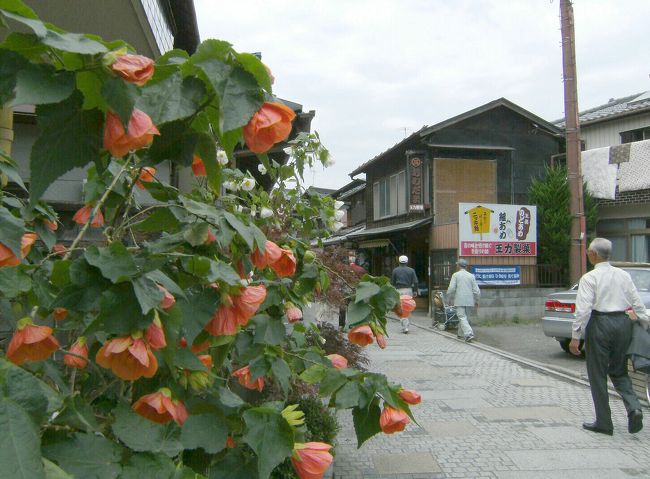 菓子屋横丁入口