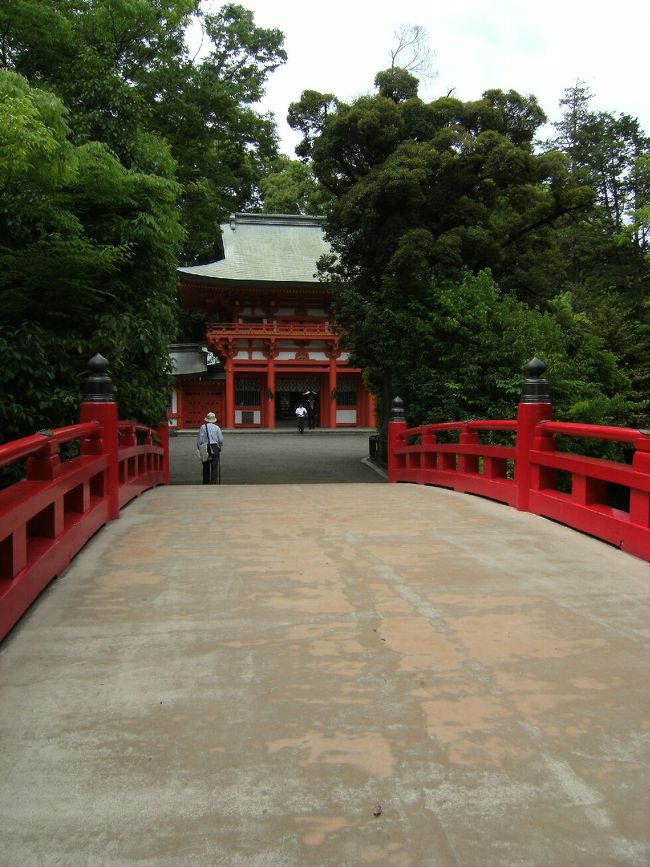 氷川神社太鼓橋