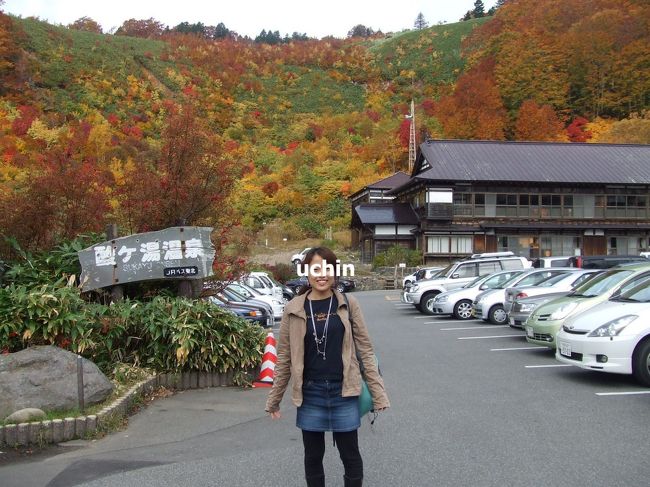 酸ヶ湯温泉で途中下車。<br />思い切って混浴の千人風呂に入ろうとしたら、ちょうどその時女性が一人はいっておらず、一方男性は10人以上ずらりと並んで腰をかけていて（湯につかってもいない人多数）とても入れる状態じゃなかったので、急遽売店で湯着とやらを買い（1000円もする(T_T)）、その頃には観光バスのおばちゃん達がたくさん来たのでなんとか入浴しましたが、、、噂には聞いてたけどあんなに不快な思いをしたのは初めて。そして皮肉なことに、あんなにいいお湯も初めてでした。<br /><br />混浴を守る会が混浴は文化だと言い張ってるけど、女性だけに不愉快を強いる文化なら廃れても構わないし、江戸時代から後は男女別に入ることが定着してるんだから、それだって文化じゃないのかい。<br /><br />とにかく、せめてもっとついたてを高くする等の工夫をして、あの素晴らしいお湯を気兼ねなく多くの人が楽しめるようにしてもらいたいもんです。