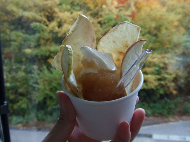この旅で一番おいしかったものかもしれない。<br />酸ヶ湯の売店で売ってるりんごソフト。