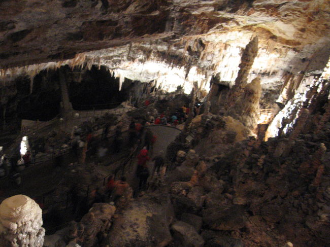 トロッコを降りたら言語ごと（スロベニア語、イタリア語、英語など）に分かれて歩いて進みます。<br /><br />わかりますか〜？この広さ！<br />写真を撮っているこの後側にもこんな空間が広がっています。<br />規模が半端ないです！