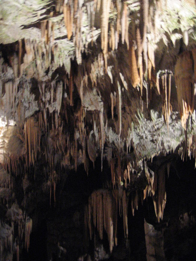 ぐんぐん進みます。