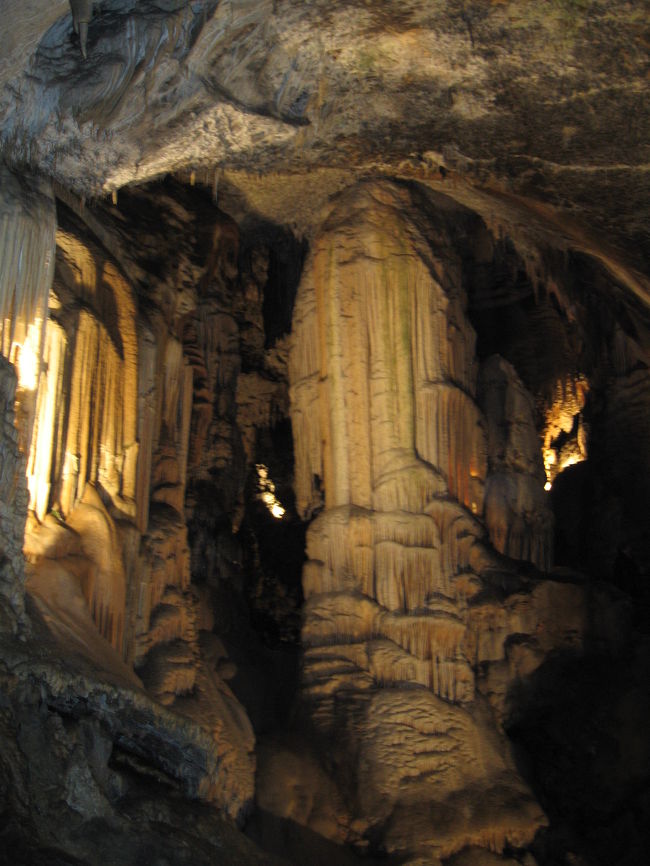 最大級の柱。迫力あります。