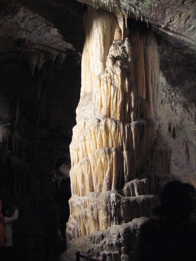 大きいです！！