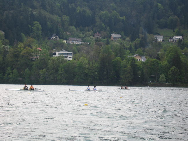 この日はボートの大会をしていたようです。<br />こんな素敵は湖で・・贅沢ですね。<br /><br />帰りはなぜか行きと違うボート発着場でおろされました。<br />要注意？！