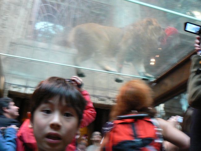 子供たちが喜んだのは、ＭＧＭのライオンでした。<br />結構、外人の大人の人だかりがすごいです。