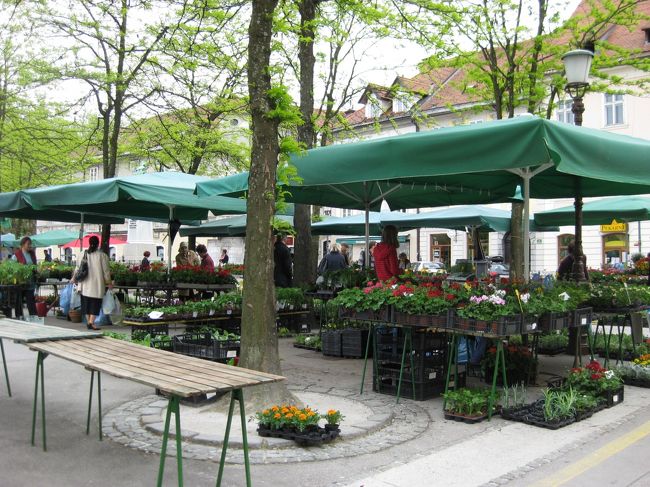 ヴォードニコフ広場（Vodnikov trg）。