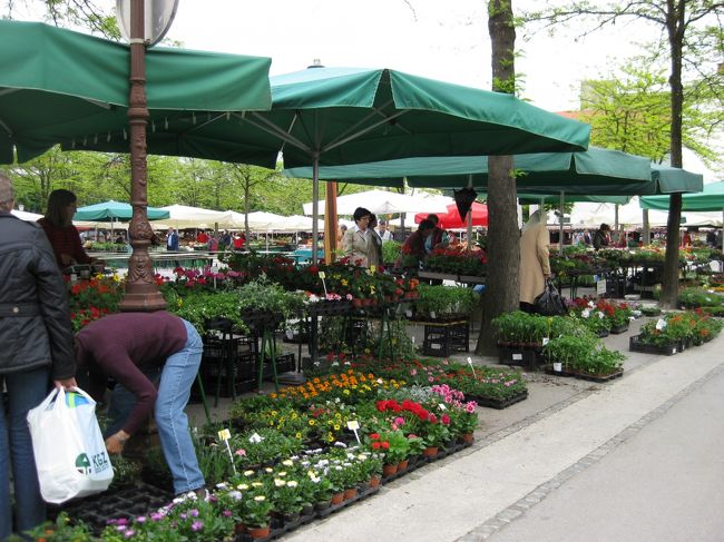 お花。<br /><br />他にもっと色々ありました。