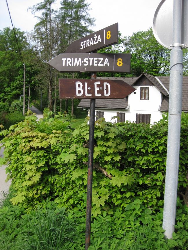 今日はブレッド湖を・・・