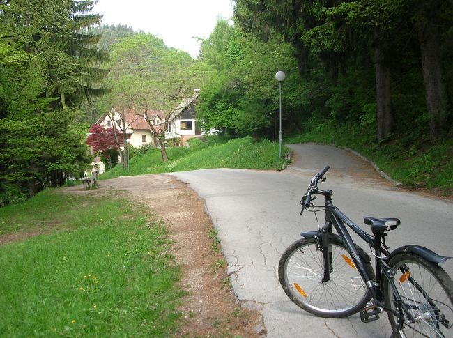 レンタサイクルで一周します。