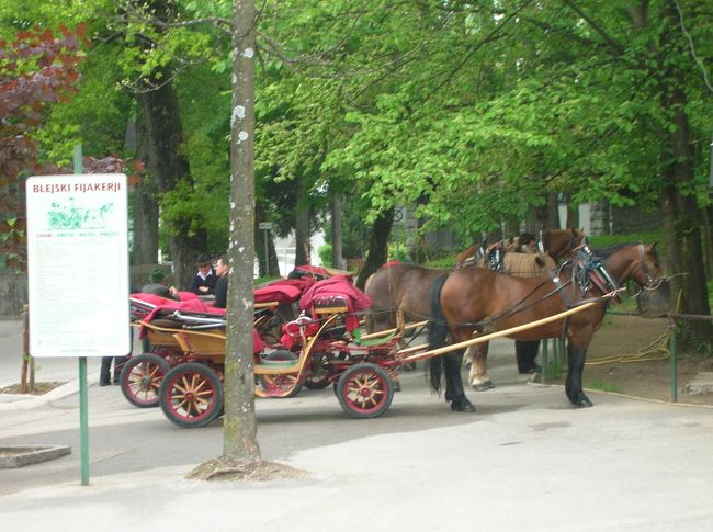 お馬さんともお別れ。