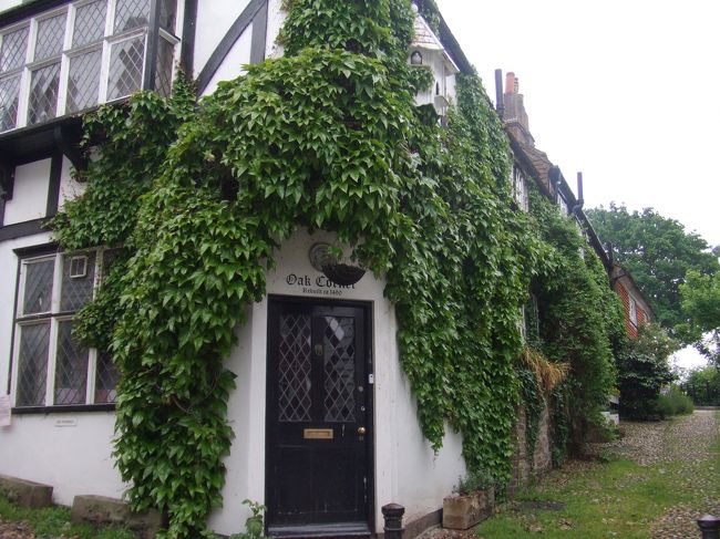 みごとな絡み具合！