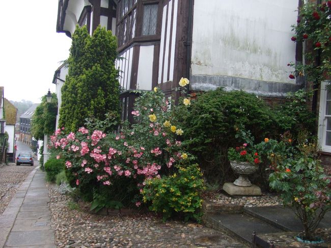 イギリスといえばバラですね。<br />