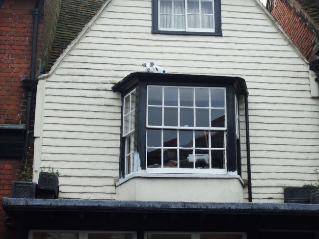 窓の上にブタが乗ってます。