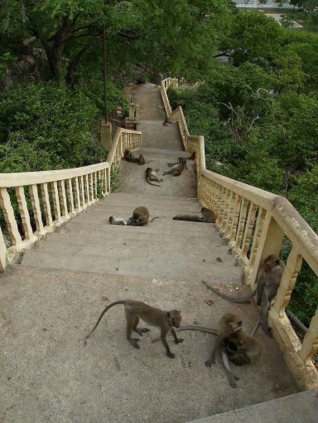 ツーリストインフォメーションを出て真横の山にある寺院に行ってみる。。。 <br />ここには見所ではないけどもう1つ有名なものがあった。。。 <br />それはサル・・・ <br />山の下の公園からうじゃうじゃサルがいてる・・・ <br />正直あまりサルは好きではない・・・ <br />大阪にも有名な箕面の滝があって、とてもきれいで好きなところなんだけど、そこもサルが有名で多くて景色を見に行きたいがサルは見たくないと、足が遠のいてしまう場所だった・・・ <br />あまり目を合わせないように寺院の入り口へ急ぐ。。。 <br />入り口から石段を登っていくが、その石段にもサル・猿・さる・・・ <br />人間様がサルを避けながら396段の石段を登る。。。 <br />人馴れしていて攻撃的でないが、あちこちでサル同士がケンカしてて、そのとばっちりで噛まれたらどうしようとか、意外と長いサルの尻尾を知らずに踏みつけて噛まれたらどうしようと考えながら登り続ける。。。 <br />サルも狂犬病を持っているものもいるらしく、あー噛まれたらその足でバンコクに帰って注射だなぁ〜みたいなことも頭をよぎる・・・ <br />そんな最悪の事態ばっかりを考えて唯一の観光地の寺院はあまり堪能できなかったし、時間も余ったので山から下りてこの町一番のハイクラスホテルの見学に行ってみることにした。。。 <br /><br />ハットトーンホテル。。。 <br />この町一番のハイクラスホテルの名前だ。。。 <br />10階建てぐらいの建物で２階が受付になっていた。。。 <br />入るとゆったりとしたロビーで、受付の人はビシッとした制服を着ていた。。。 <br />ここの部屋はいくらぐらいかな？？？と上から目線で聞いてみる。 <br />スタンダードのお部屋が７５０バーツです。。。と受け答えもしっかりしている。。。 <br />頭の中で７５０バーツか・・・日本円で２３００円ぐらいやなと計算する・・・ <br />ホアヒンのハイクラスになると日本円で３−４万は下らないだろうから絶対に泊まれないけど、ここなら余裕で泊まれるよと余裕の笑みを浮かべて、また泊まりに来るよ！！！みたいな感じでホテルを後にする。。。 <br />しかしたどり着いた先の俺の今日のホテルは受付で上半身裸でステテコのおっさんが俺の顔を睨みつけてる・・・ <br />悪いおっさんではないんやけど愛想がないんやなぁ〜と思いながら、少し冷たい水シャワーを浴びる・・・ <br />今日の宿代２００バーツで６００円也・・・現実は水シャワーより冷たかった・・・せめてホットシャワー・・・ <br />