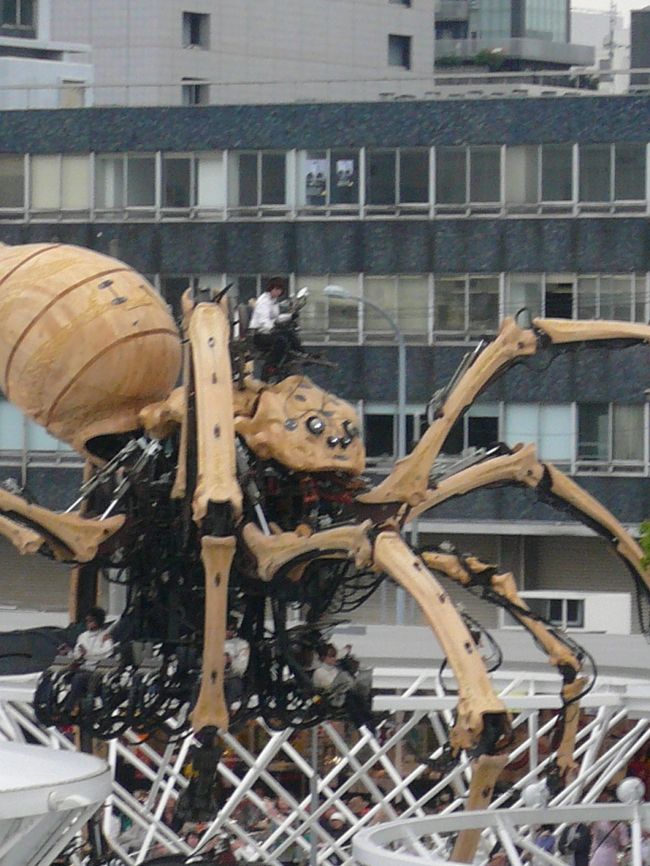 開港博Yー１５０　はじまりの森の巨大くも！！