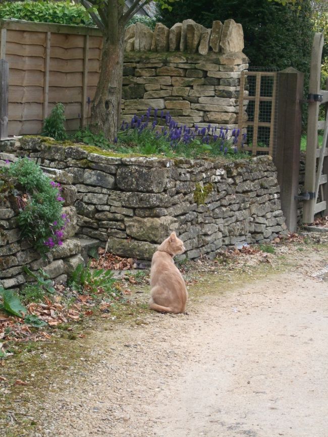 2日目。<br />今からフットパス散策スタートです！