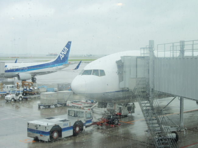 羽田からANAで千歳まで飛びます。