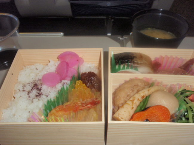 お弁当の箱の中身です。量的にはちょっと物足りない感じです。