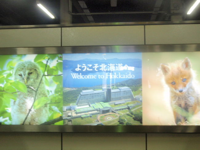 札幌に到着です。マラソンは明日なので、とりあえず札幌市内へ、札幌は雨です。