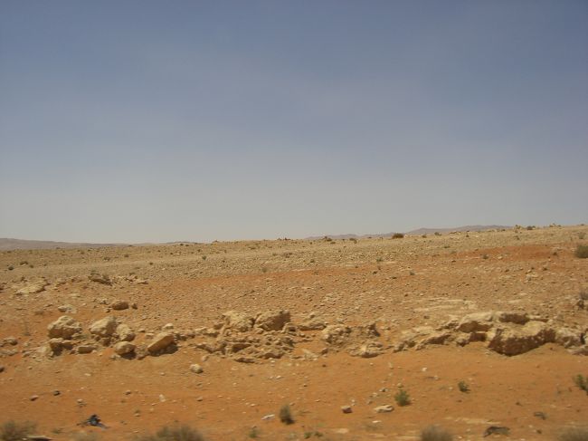 （写真はコメントと関係ありません）<br /><br />日もとっぷり暮れた頃にダマスカス到着。とりあえず安宿街でいくつか周ってみたけれど、値段の折り合いが付かず仕方なく400SP=800円ちょっとのドミにチェックイン。<br /><br />朝からほとんど食べていなかったのでまずはメシ調達。宿近所のスタンドでサンドイッチとジュースで50SP=約100円。安いしウマ〜。人々も観光ズレしてないけどフレンドリーだしシリア相当好きかも。<br /><br />今日は怒涛の移動だったし、明日も朝からパルミラに向けて出発するのでこの日は宿に帰って早めに就寝。<br /><br />