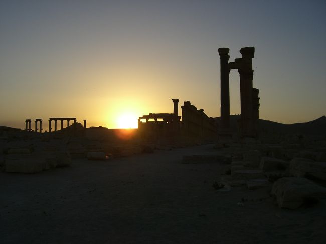 そして終に日が沈む。<br /><br />パルミラの夕暮れ。<br />今回の旅で一番見たかったものかも。