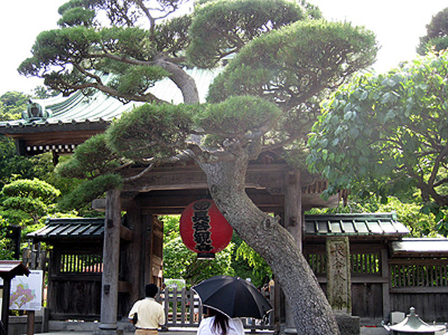 長谷駅を降りて、ちょっと歩くとすぐに長谷寺に到着です。