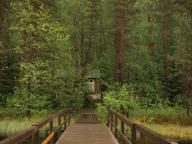 絵本のような世界。<br /><br />橋は固定されていますが、浮いた状態になっているので、なんとなく揺れます（笑）<br /><br />湖面に近い陸地も、<br />草木が堆積してできた部分もあるので、<br />なんとなくフワフワしてます。<br /><br />不思議な感覚・・・。