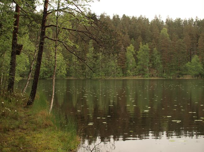 かもめ食堂のメイン写真で使われた所。<br /><br />晴れていたら、もっと湖面に緑が映えるんだろーな。