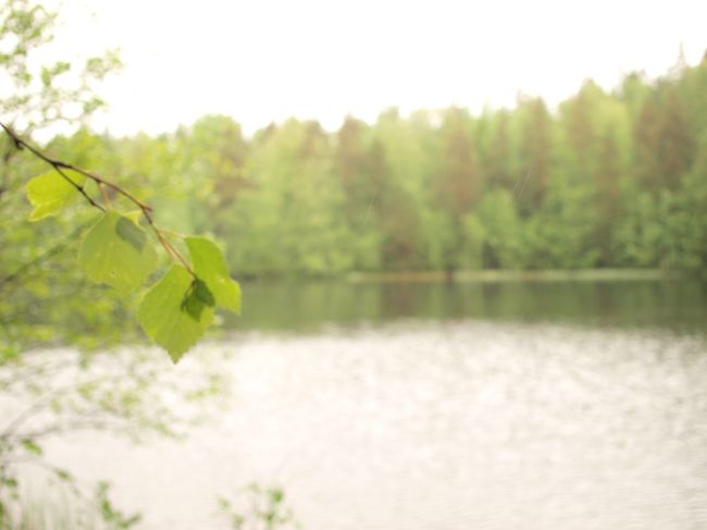 日が射すとこんな感じ。