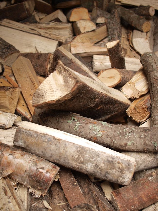 小さな小屋に薪がいっぱい。<br /><br /><br />この先にちょっとした東屋があり、火をおこす事ができます。<br />ここで自由に取って、使ってOK。<br /><br /><br />白樺の薪が燃えやすいとのことで、<br />ガイドさんを手伝って、みんなで白樺探し（笑）