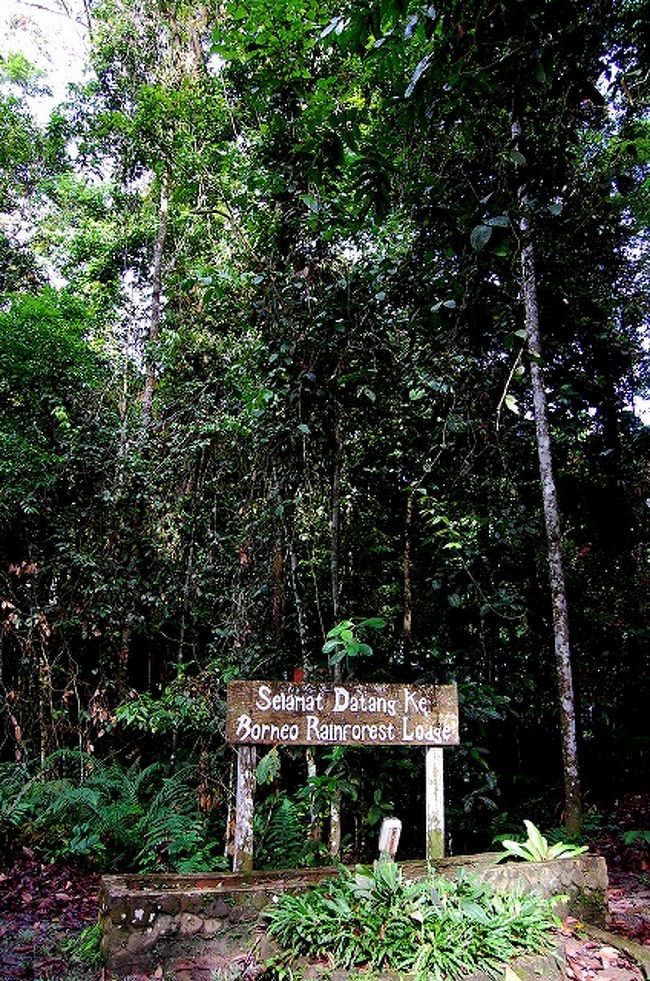 9:00に、午前中のトレッキングに出発。