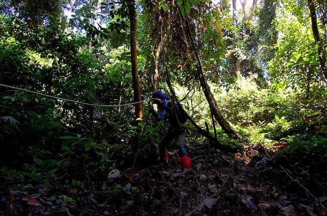 すっごくグチャグチャにぬかるんでいて、しかも斜面。<br />転んだら、大変なことになります…。<br />設置されている、細いロープを必死で伝いながら、降りて行きます。