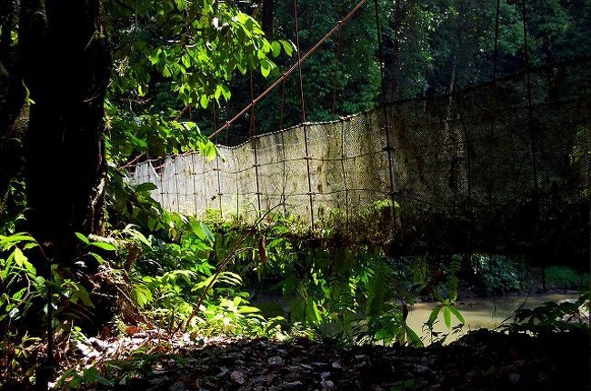 午後は15:00から「ウォーター・チュービング」というアクティビティです。<br /><br />「ウォーター・チュービング」とは、ジャングルの中を、大きな浮き輪をを抱えて、20分ほど川の上流まで歩いて、そこからその浮き輪に乗って川を下り、ロッジまで戻ってくるというもの。<br />それを聞いて、<br />ということは、水着を着て行った方がいいんだよね？と、ヒリンちゃんに聞いたところ、<br />水着じゃなくてもいいけど、濡れてもいい服装で。<br />とのこと。<br />どんな感じなのか、想像がつかない…<br />第一、川下りの前に、20分ジャングルを歩くのに、足元はどうしたらいいの？<br /><br />15:00に集合場所に行ってみると…<br />想像以上に普通の水遊びっぽい。<br />トレッキングシューズを履いて行って、向こうでビーチサンダルに履き換えようと思ったのですが、脱いだシューズを抱えて浮き輪に乗るのもどうかな？という感じ。<br />カメラもウォータープルーフのもの以外は、持って行かない方がいいとのことだったので、<br />急きょ、全ての荷物は置いて、Tシャツにビーサンの恰好で行くことにしました。<br /><br />そして、これが正解でした。<br />浮き輪に乗って川を下るので、結局全身水浸しになります。<br /><br />このウォーター・チュービング、最高に楽しかったです！！！<br />ゆったりとジャングルの中を流れる川を、流れに乗って下っていきます。<br />雨がたくさん降って、川が増水しているとできないということなので、体験できて良かった♪<br />