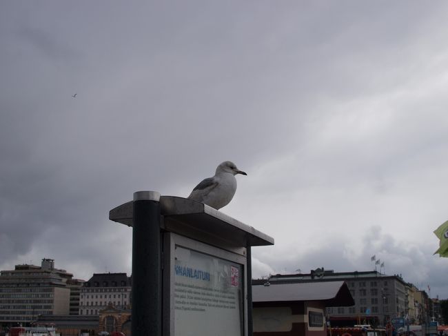 マーケット広場に戻る。<br /><br />かもめもなんだか浮かない感じ。。。