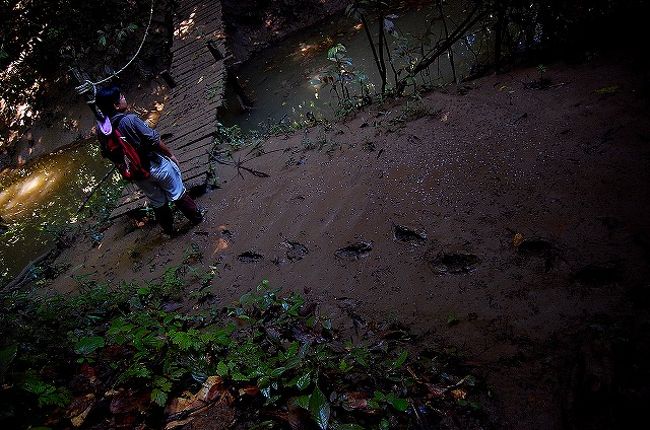 雨で泥が流れ出して、木でできた橋の上にも、橋の脇にもたっぷり積もっています。<br />大体3〜5?ぐらい。<br /><br />歩くとペタペタと足跡が残ります。<br />滑りやすくなってて、ちょっと怖い。
