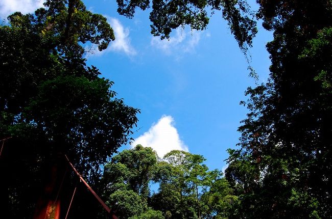 吊り橋を渡りながら空を見上げたら…<br />きれいな青空！<br /><br />あーあ、これでダナンバレーとお別れだと思うと寂しいなあぁ。<br />3泊4日で満喫したことは満喫したのですが、いざこれでもう帰らないといけないと思うと、後ろ髪を引かれる思いもあります。