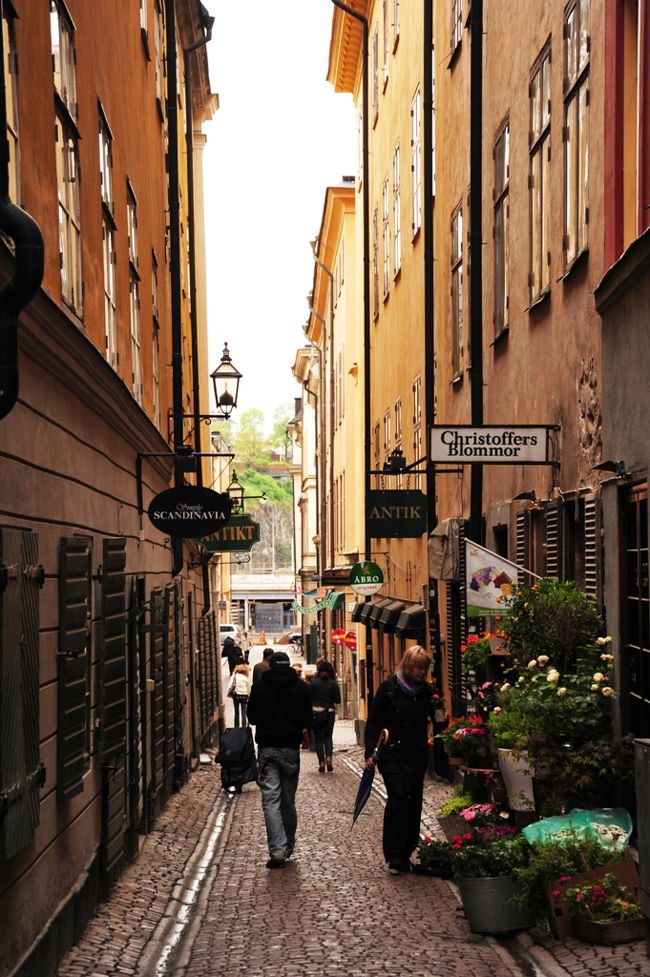 路地も石畳<br />味があります