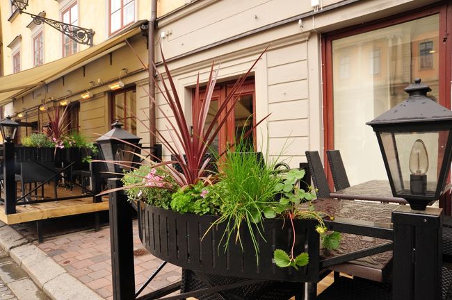 広場レストランの花壇