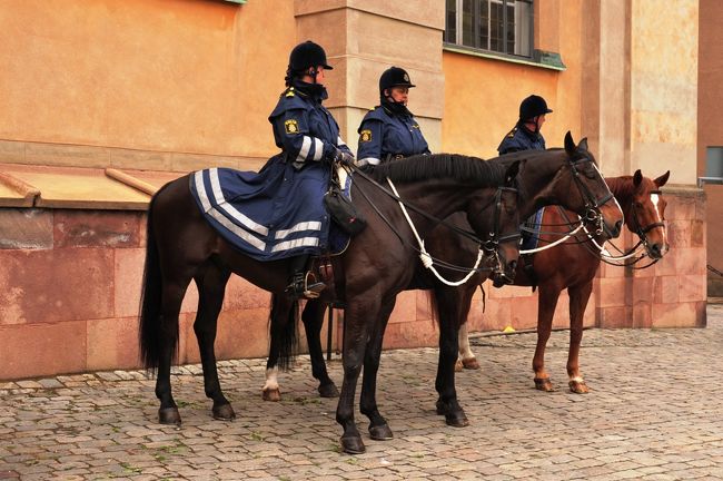 王宮の横には馬に乗った衛兵<br />何かあったのかな？