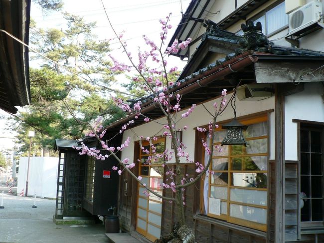 日本の旅 東北・中部地方を歩く 映画の「海坂藩」の舞台、山形県の鶴岡城跡周辺