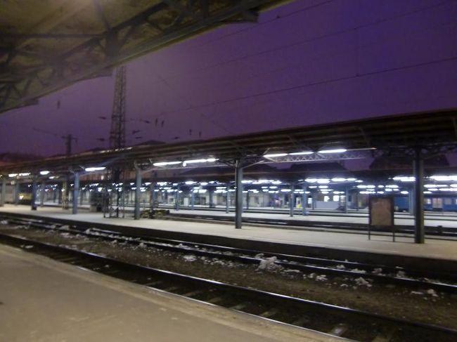 国境越えのパスポートチェックを無事通過し、いざハンガリーへ。<br />実はこの間にタイムゾーンをまたいでいたらしく、マイナス1時間の時差が生じていた。<br />…お陰でブダペスト到着時刻を一時間見誤り、睡眠もそこそこに1時間以上スタンバイ。寝れてねぇ。