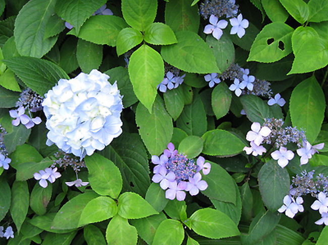 宝石をちりばめたよう！