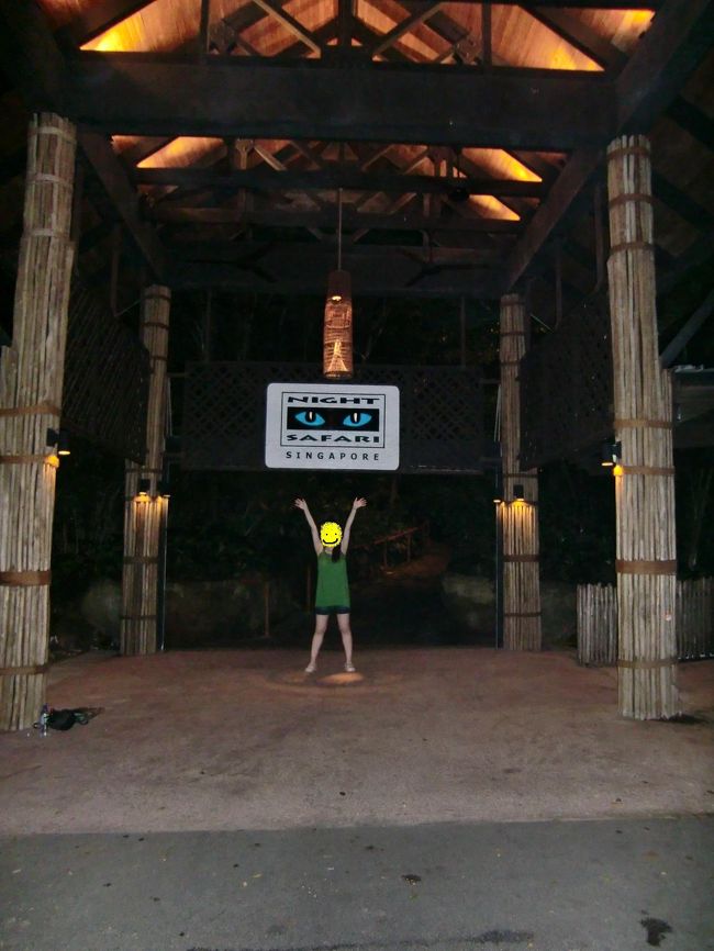 19時30分開園から24時閉園までフルに遊びトータル15時間ほど大好きな動物ライフをすごしました　<br />やっぱりここは来て良かった♪♪♪<br />　　（?＾∀＾?）」☆<br /><br />とにかく、早くホテルへ戻り寝ないと・・・・　　　（；´д｀）/体がもたない。<br />ちなみに帰りのタクシー費用は、ホテルまで23ドルでした。<br /><br />